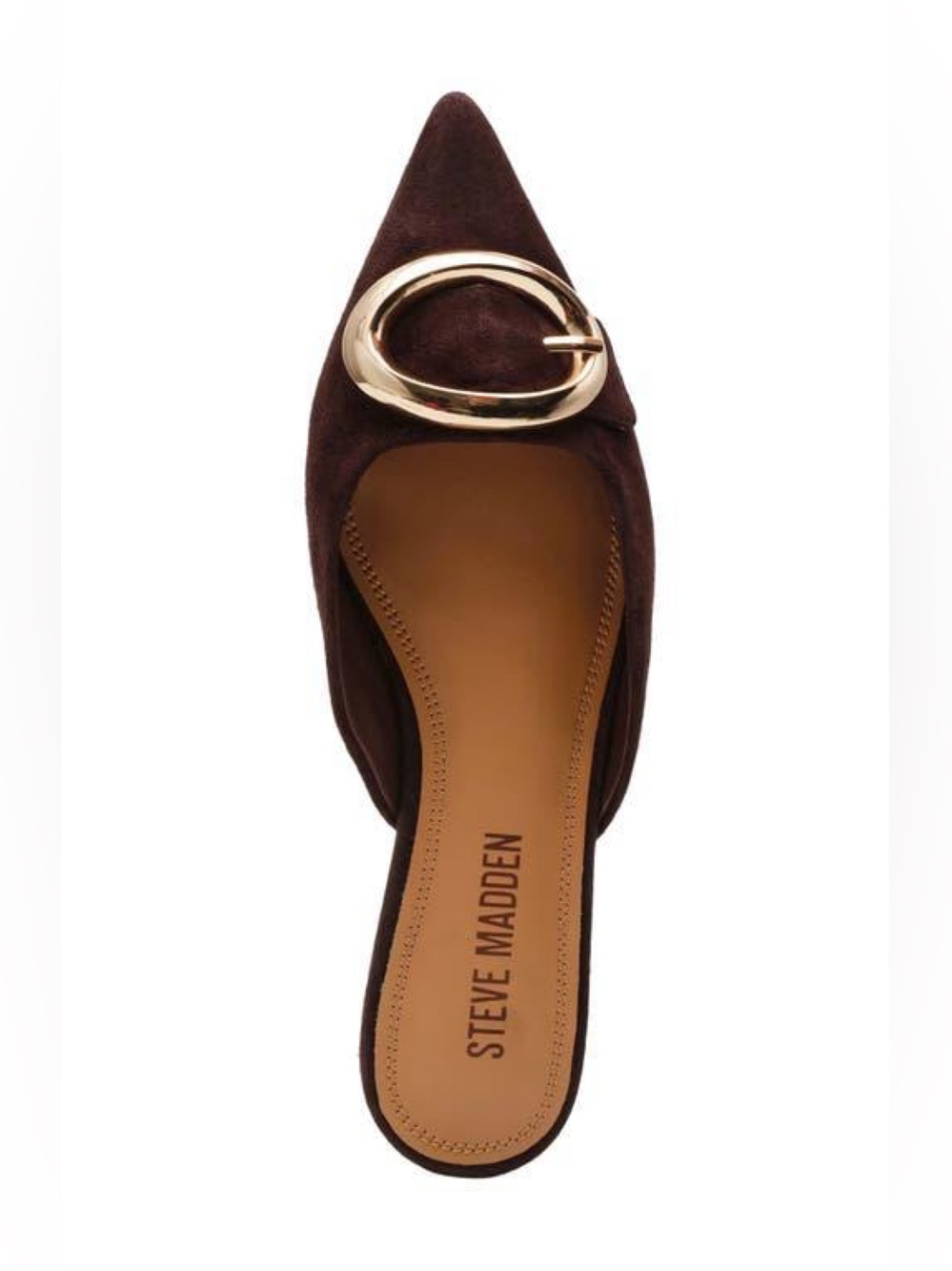 STEVE MADDEN Ira Brown Pointed Suede Mule with Gold Buckle